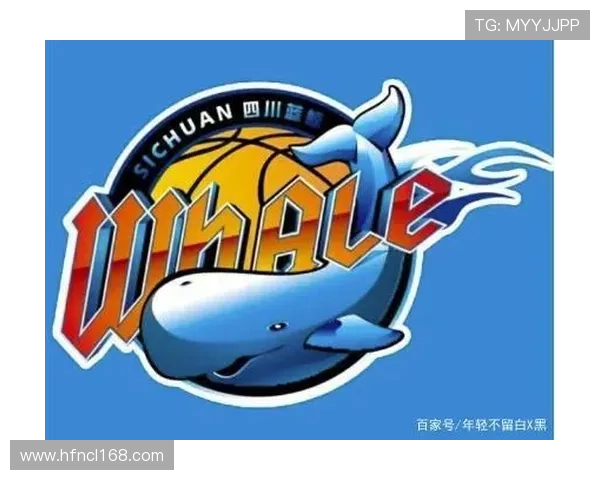 所有CBA球队队标图鉴及LOGO设计理念分享 所有CBA球队队标图鉴及LOGO设计理念分享